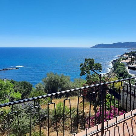 Apartamento Deluxe Cau Del Llop Llança Buitenkant foto