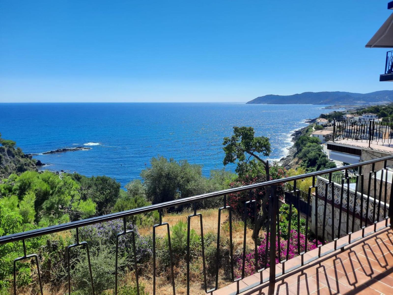 Apartamento Deluxe Cau Del Llop Llança Buitenkant foto